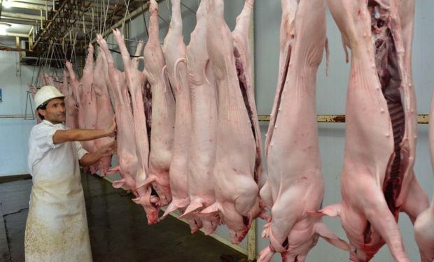 Hasta el momento, en la región podía ingresar carne porcina desde países o zonas libres de aftosa sin vacunación.