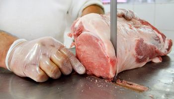 Buscan incentivar el consumo de carne de cerdo