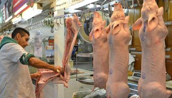 Chubut no quiere que ingrese carne porcina desde el norte