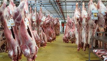 Cambios en mercado ganadero y situación económica complican a los frigoríficos