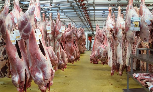 El mercado estima que llegará una oferta importante de carne vacuna a partir de los animales encerrados en feedlots.