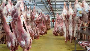 Se cerró la brecha entre el precio de la hacienda y la carne al público