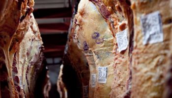 Singapur amplía la compra de carne argentina