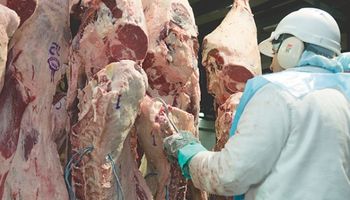 Positivo: carne argentina se posiciona en el mundo