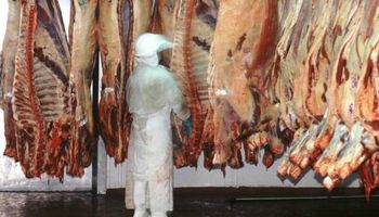 Cadena de la carne sigue enfrentando un escenario de transición