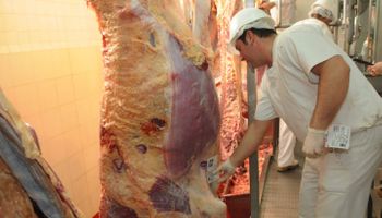 Carne: suspenden una cooperativa que creció con el kirchnerismo