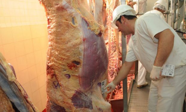 Suspenden una cooperativa que creció con el kirchnerismo.