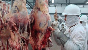 Importante grupo chino hizo su primera compra de carne en la Argentina