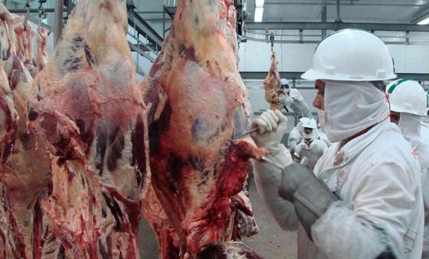El viernes pasado, un vuelo con 3,2 toneladas de carne partió rumbo Shangai, China, para la empresa Westwell.