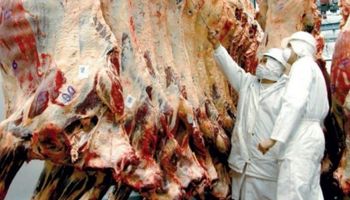 Exportadores de carne, satisfechos por la apertura del mercado chino