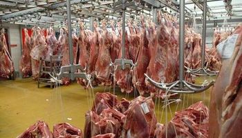 Carne: buscan ampliar protocolo sanitario con China
