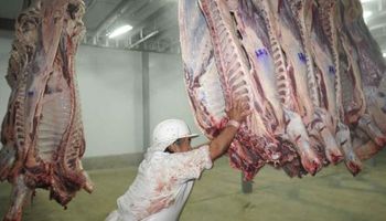 Desde el lunes frigoríficos aumentan 10% la carne