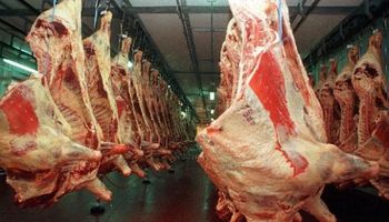 Exportaciones argentinas de carne: continúa el crecimiento