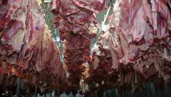 Uruguay: ven pocas posibilidades de colocar asado en Argentina