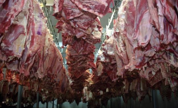 Informe de la Cámara de la Industria de la Carne (CICCRA)