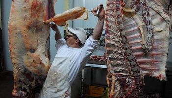La carne subió otro 4,4% en julio por la falta de hacienda