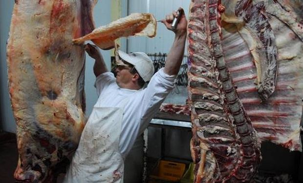Informe del Instituto de Promoción de la Carne Vacuna (IPCVA).