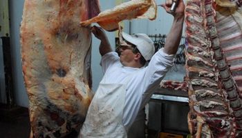 Debates sobre la situación y las perspectivas de la carne