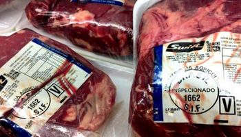 Brasil: envían misión a EEUU para intentar revertir el embargo de carne