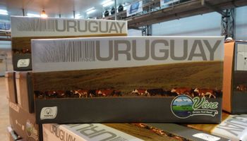 Uruguay: exportaciones de carne vacuna llegarán a US$ 1.500 millones