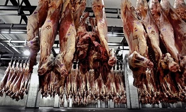 Según el INAC en octubre la carne uruguaya se colocó en promedio a u$s 4.290 por tonelada.
