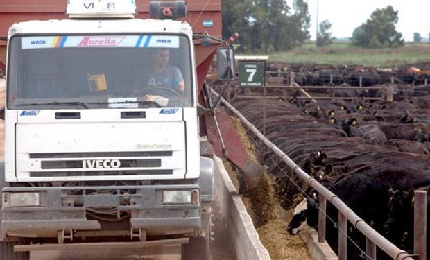 Buscan consolidar el negocio de la cuota para el feedlot.