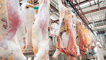 En 12 meses crece un 43% la exportación de carne 