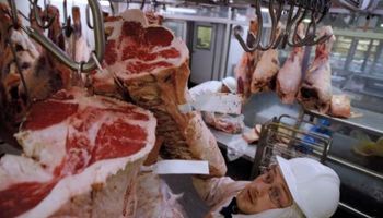 Exportación de carne: Rusia, China y los EE.UU. están lejos