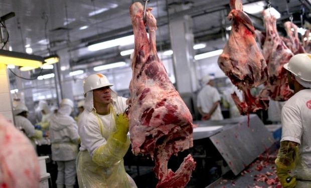 Declaraciones juradas, faena y caída del consumo de carne: la mirada de los frigoríficos sobre el contexto
