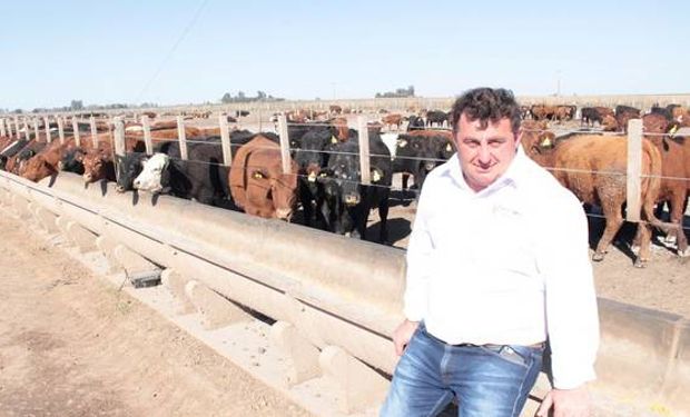 Néstor Tomasello, propietario del feedlot La Muñeca, junto a un lote de terneros en adaptación.