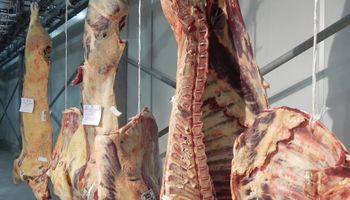Aditivo natural para alimentos a partir de sobrantes de faena vacuna