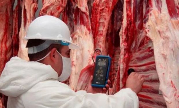 El Gobierno decidió esta semana aprobar un nuevo modelo de certificado sanitario que permite al vecino país vender dicho tipo de carne vacuna en el país.