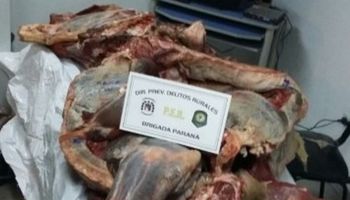 En una carnicería de Paraná decomisaron 600 kilos de carne en mal estado