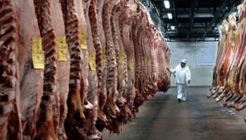 Carne: buen arranque de año para exportadores líderes
