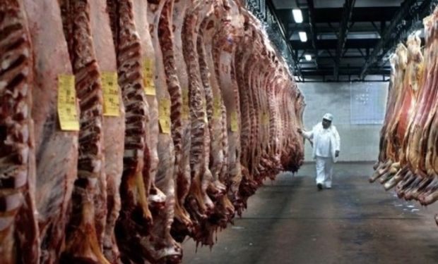 En cuanto al precio, en enero promedió los USD4300 por tonelada, nivel casi igual al de diciembre y 6% mayor al de hace un año.