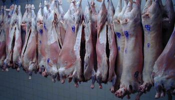 Estados Unidos habilitó ingreso de carne ovina con hueso desde Uruguay