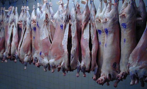 Carne ovina: Estados Unidos habilitó el ingreso desde Uruguay.