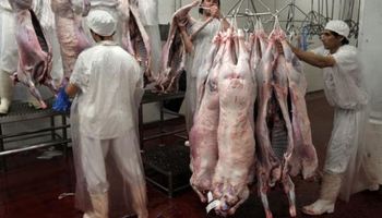 Carne ovina uruguaya: el momento para crecer