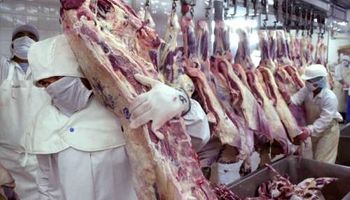 Paraguay: nueva multa a un frigoríco por importación ilegal de carne