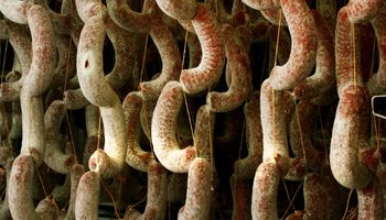 Senasa justifica el ingreso de carne fresca porcina a la Patagonia