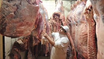 Precio de la carne: buscan herramientas nuevas para los viejos problemas