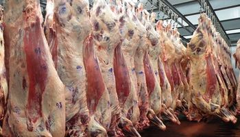 Cuestionan el Plan Maestro de la Carne propuesto por el gobierno
