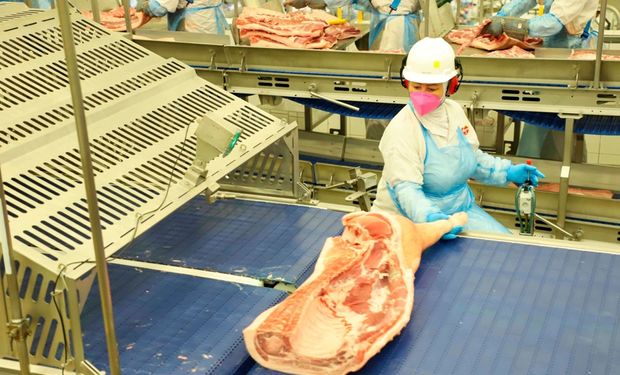 Com crescimento de 15,1% em novembro, exportações de carne suína têm alta de 11,1% no ano