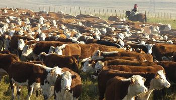 Carne: festejan en Uruguay el cierre argentino, pero solo en el corto plazo por la "distorsión" que genera en el mercado