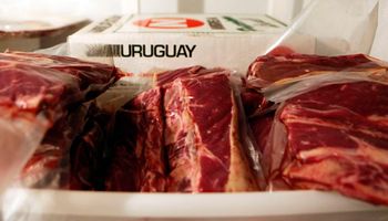 Concepto de calidad asociado a la carne bovina uruguaya