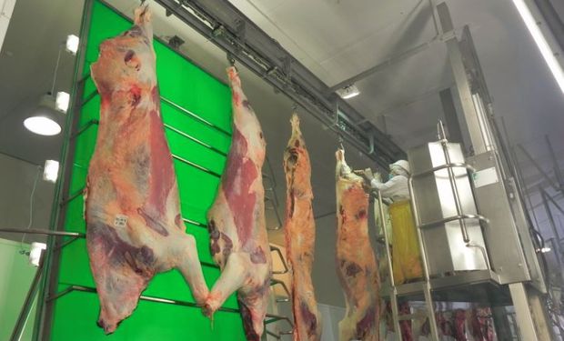 Carne uruguaya de exportación.