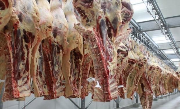 Desde el punto de vista sensorial la carne uruguaya tiene una alta aceptación por los consumidores europeos.