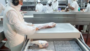 Argentina ya puede exportar carne con hueso y enfriada a China