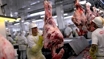 Matarifes y abastecedores acusan al Gobierno de promover el monopolio de la carne