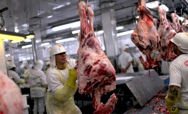 Matarifes y abastecedores acusan al Gobierno de promover el monopolio de la carne